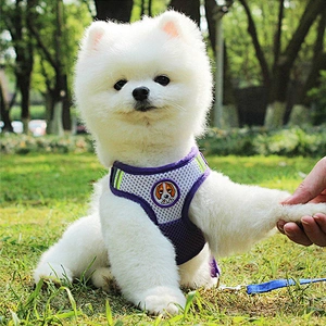 Amazon hot selling pet safety dog harness with leashes reflective dog harness