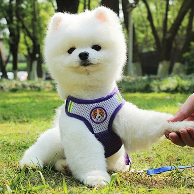 Amazon hot selling pet safety dog harness with leashes reflective dog harness