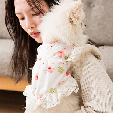 Beautiful Dog Clothes Designers Puppy Apparel Fashion Cute Luxury Summer Dog Dress