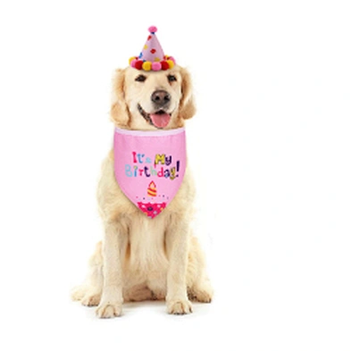 Wholesale Cat Dog Birthday Supplies Dog Birthday Bandana and Hats