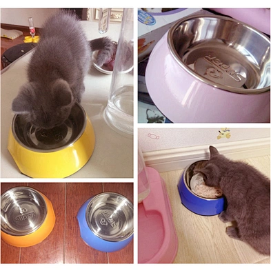 Hot sale stainless steel cat food bowl colorful dog bowl pet bowl for eating and drinking