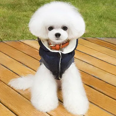 Wholesale winter dog clothes cheap fashion design warm winter clothes for dogs