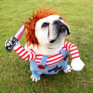 Amazon Hot Sell Halloween Dog Clothes French Bulldog Cute Pet Dog Halloween Costume With Hat