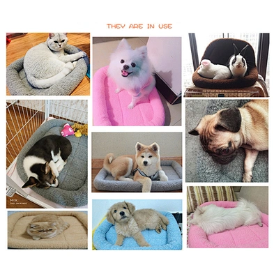 Fleece Dog Mat Wholesale Winter Warm Soft Coral Fleece Cat Pet Dog Bed Memory Foam