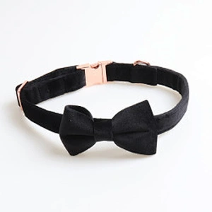 New Cat Pet Collar Adjustable Designer Personalized Velvet Dog Collar And Leash Set With Bow