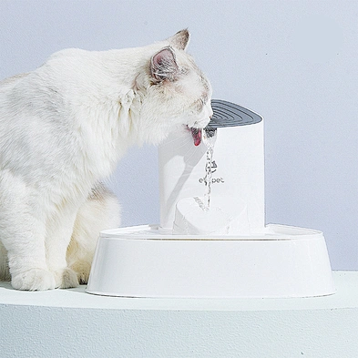 Pet Cat Water Fountain Automatic Indoor Professional Dog Water Dispenser For Cat