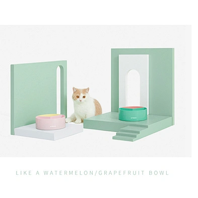 Dog Cat Double Water And Food Bowl Wholesale Pet Plastic Feeding Bowl
