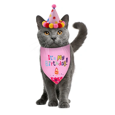 Wholesale Cat Dog Birthday Supplies Dog Birthday Bandana and Hats