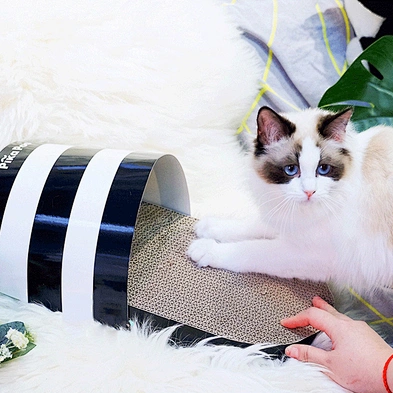 Wholesale 2021 New Design Cat Scratching Board Cat Toy Slipper Shape Cat Scratch Pad