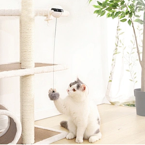 Interactive Cat Toy Ball 2021 New Electric Cat Ball