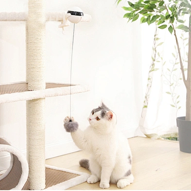 Interactive Cat Toy Ball 2021 New Electric Cat Ball