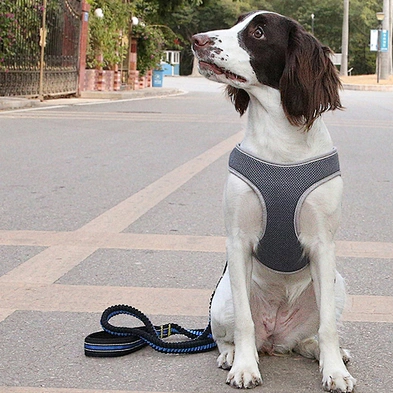 Hot Sale Reflective Dog Vest Harnesses Custom Designers Step In Adjustable Dog Harness