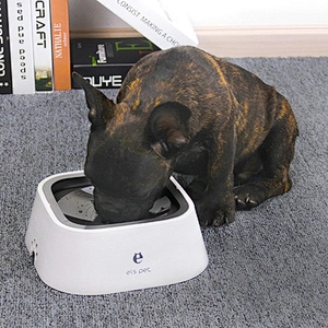 Hot Sale Pet Dog Water Bowl Not Wet Mouth Pet Dog Bowl Water Splash-proof Suspending Force Bowl