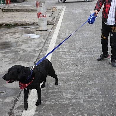 Portable Dog Leash With Water Bottle