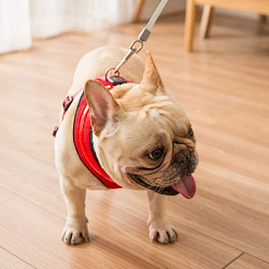 Wholesale high quality personalized dog harness LED flashing dog harness rechargeable
