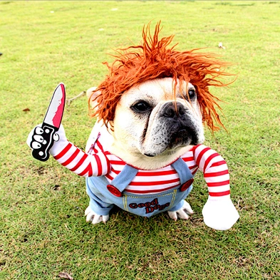 Amazon Hot Sell Halloween Dog Clothes French Bulldog Cute Pet Dog Halloween Costume With Hat