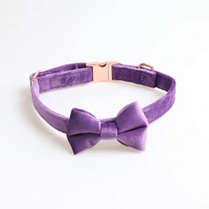 New Cat Pet Collar Adjustable Designer Personalized Velvet Dog Collar And Leash Set With Bow