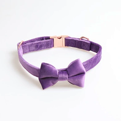 New Cat Pet Collar Adjustable Designer Personalized Velvet Dog Collar And Leash Set With Bow