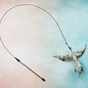 2021 hot selling pet toy feather bells cat funny bird cat pet toys
