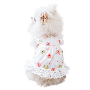 Beautiful Dog Clothes Designers Puppy Apparel Fashion Cute Luxury Summer Dog Dress