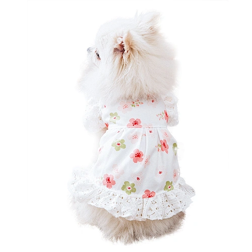 Beautiful Dog Clothes Designers Puppy Apparel Fashion Cute Luxury Summer Dog Dress