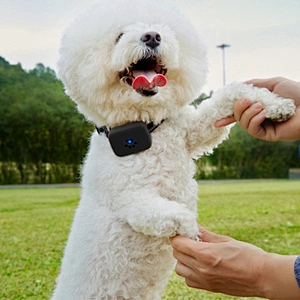 Durable Pet Tracking Device for Dog Secure Collar Dog Tracking GPS