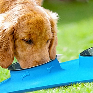 Fashion Hot sale Dog stainless steel bowl for cat dog pet copper stainless bowl