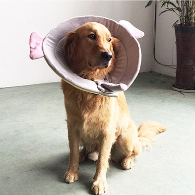 Wholesale Pet Elizabeth Collar Anti-licking Pet Dog Cat Protective Recovery Collar Prevent from Biting & Scratching