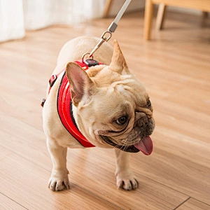 Wholesale high quality personalized dog harness LED flashing dog harness rechargeable