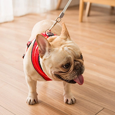 Wholesale high quality personalized dog harness LED flashing dog harness rechargeable