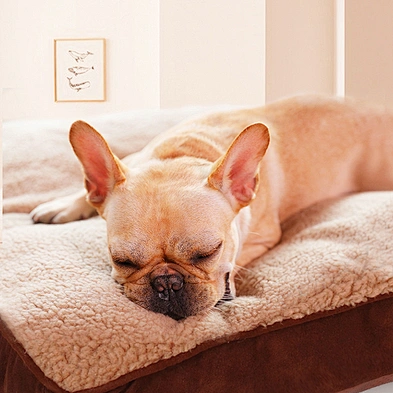 Plush Pet Dog Bed Orthopedic Winter Warm Large Dog Bed