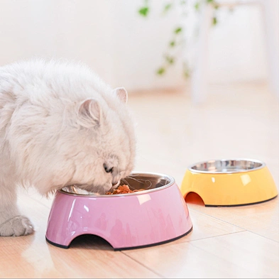 Hot sale stainless steel cat food bowl colorful dog bowl pet bowl for eating and drinking