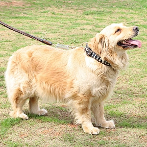 Luxury dog collar leash custom designer pet dog collar with spring