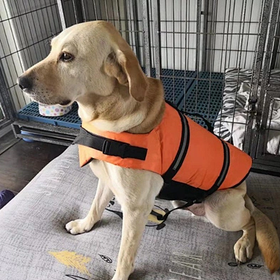Pet life jackets dog swimming suits large and small dogs summer clothes dog swimming vests