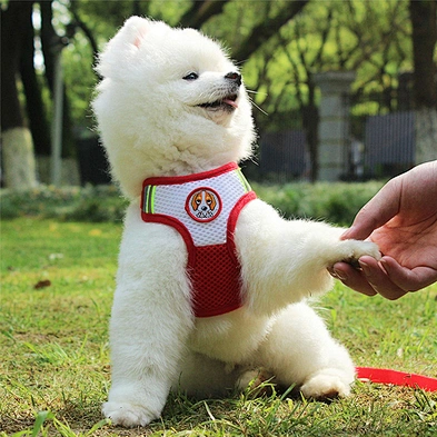 Amazon hot selling pet safety dog harness with leashes reflective dog harness