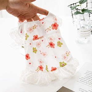 Beautiful Dog Clothes Designers Puppy Apparel Fashion Cute Luxury Summer Dog Dress