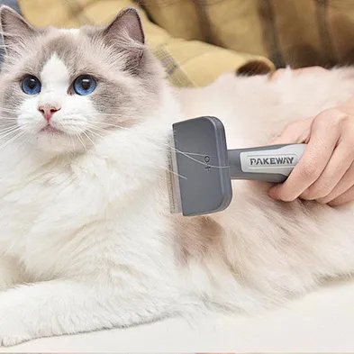 Pet Grooming Brush For Cat and Dog Remove Hair Wholesale Brush