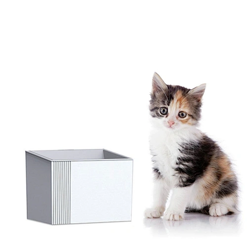 Automatic Pet Water Dispenser Portable Smart Automatic Cat Water Fountain