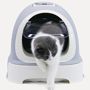 Wholesale Cat Litter Box High Quality Plastic Cat Toilet Box
