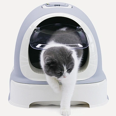 Wholesale Cat Litter Box High Quality Plastic Cat Toilet Box