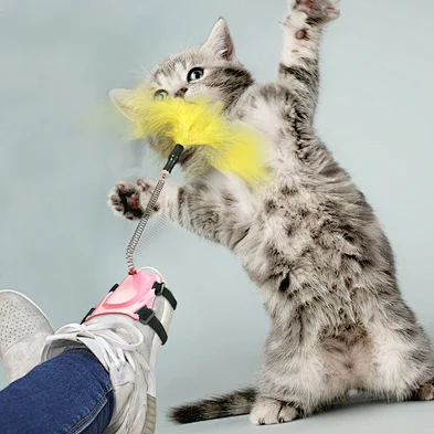Factory directly sell cat spring feather toy set pack cat toy set