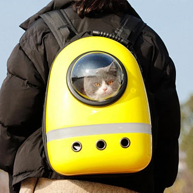 Cat Carrier Backpack 2021 Designer Cheap Plastic Outdoor Luxury Small Pet Dog Cat Carrier Bag