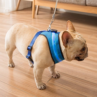 Wholesale high quality personalized dog harness LED flashing dog harness rechargeable