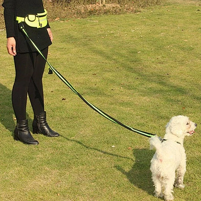 Multi function Durable Waterproof Elastic Reflective Bungee Hands Free Dog Leash For Running