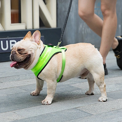 Wholesale high quality personalized dog harness LED flashing dog harness rechargeable