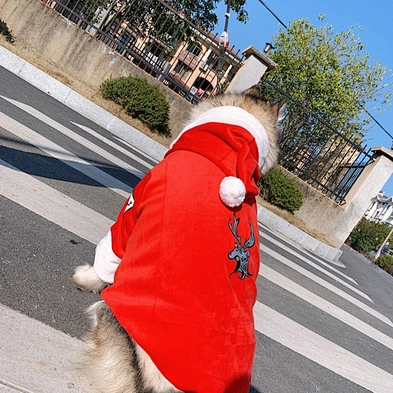 Holiday Christmas Dog And Owner Clothes Luxury Hoodie Soft Winter Large Dog Christmas Clothes With Hat