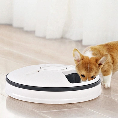 Amazon hot sale pet dry wet food dispenser smart automatic pet food feeder for dog cat