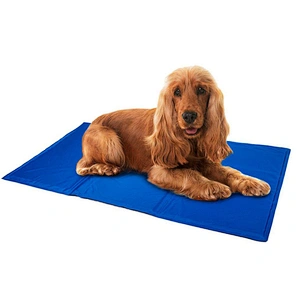 Summer Gel Cooling Dog Mat Pet Pad 2021 Waterproof Washable Dog Cool Mat