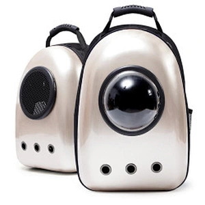 Cat Carrier Backpack 2021 Designer Cheap Plastic Outdoor Luxury Small Pet Dog Cat Carrier Bag