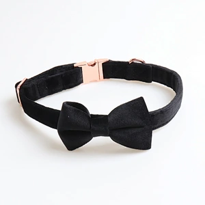 New Cat Pet Collar Adjustable Designer Personalized Velvet Dog Collar And Leash Set With Bow